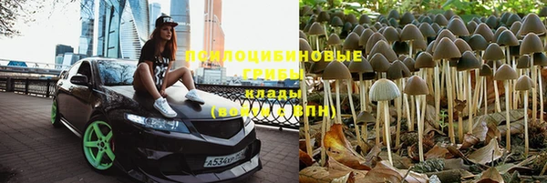 бошки Зеленокумск