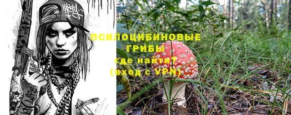 герыч Инта