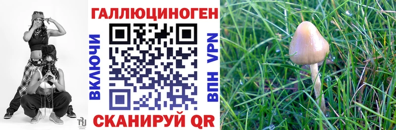 Галлюциногенные грибы GOLDEN TEACHER  магазин продажи   Нерюнгри 