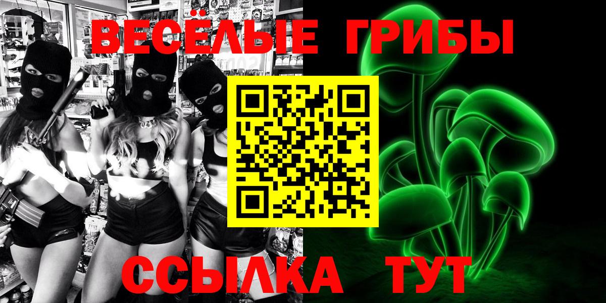 Псилоцибиновые грибы Psilocybine cubensis  Нерюнгри 