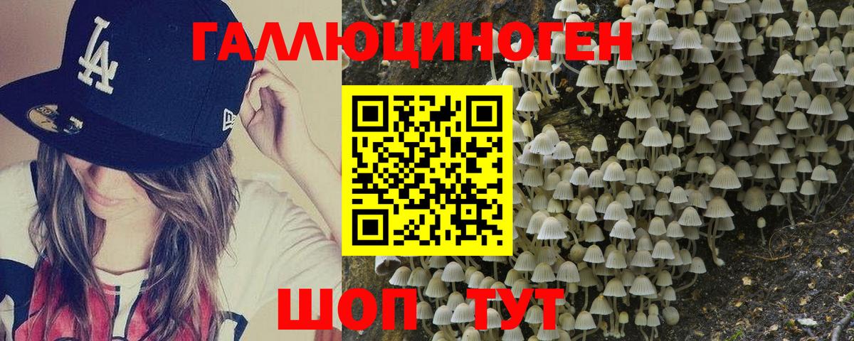 Галлюциногенные грибы Magic Shrooms  Галлюциногенные грибы MAGIC MUSHROOMS  Нерюнгри  что такое наркотик  Вход с VPN 